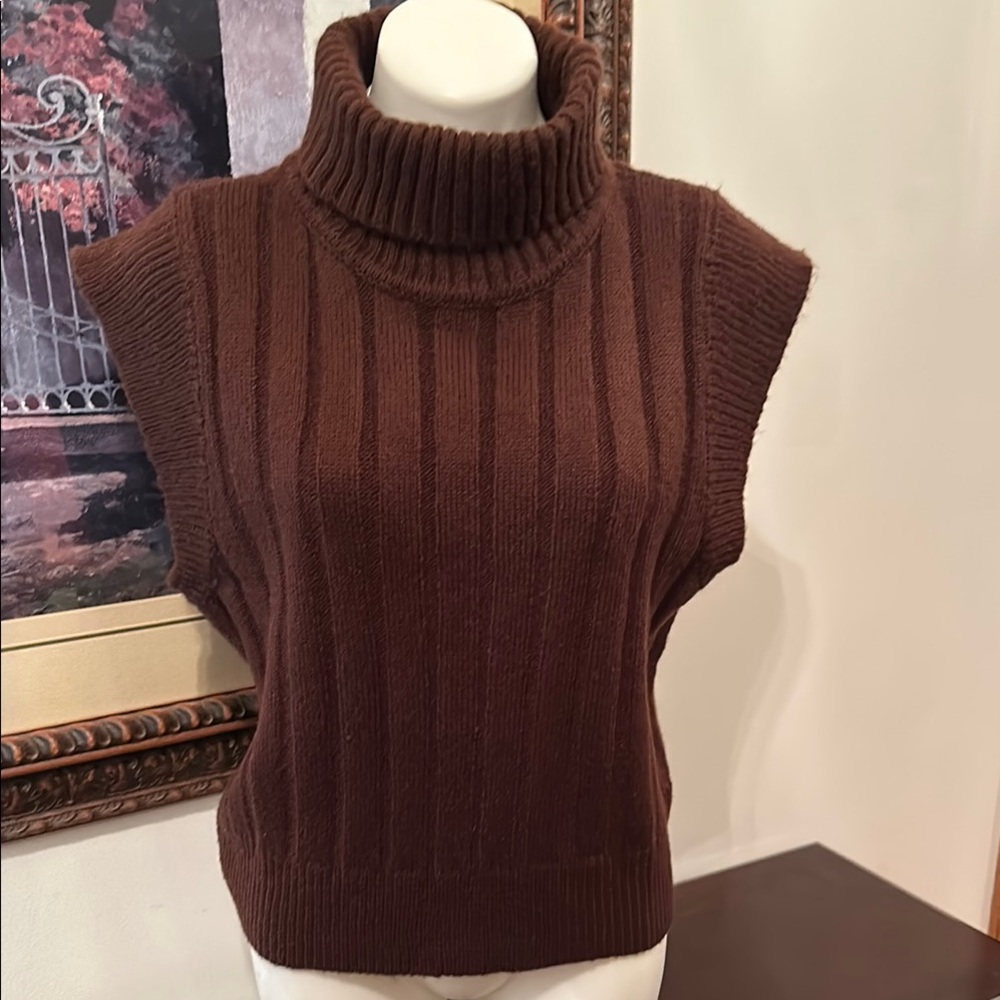 Brown Turtleneck Sleeveless Sweater by Sugar Lips